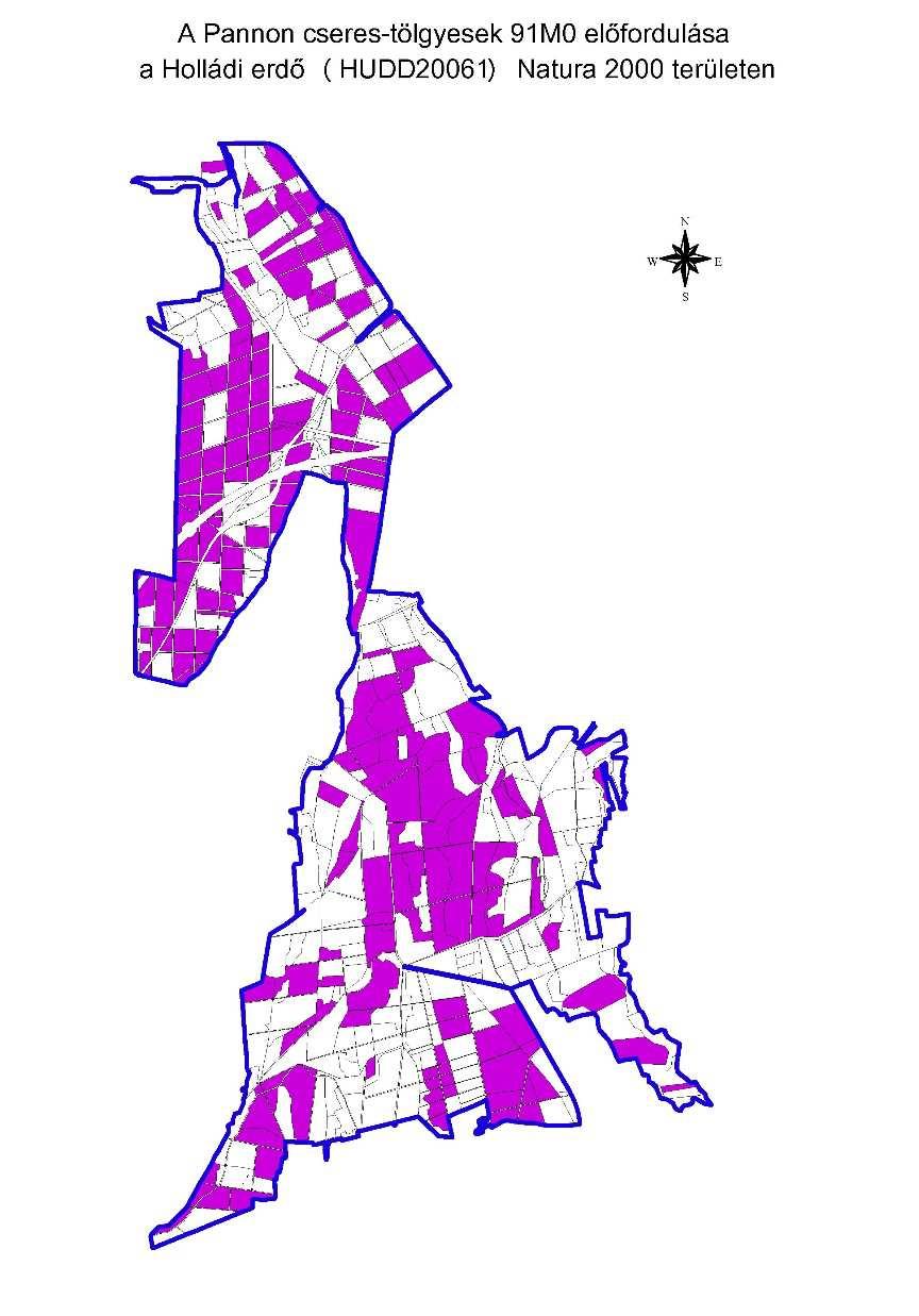 Pannon cseres-tölgyesek Élőhely kódja: 91M0 Élőhely előfordulásai a területen: Élőhely területi aránya: 40,91 ha.