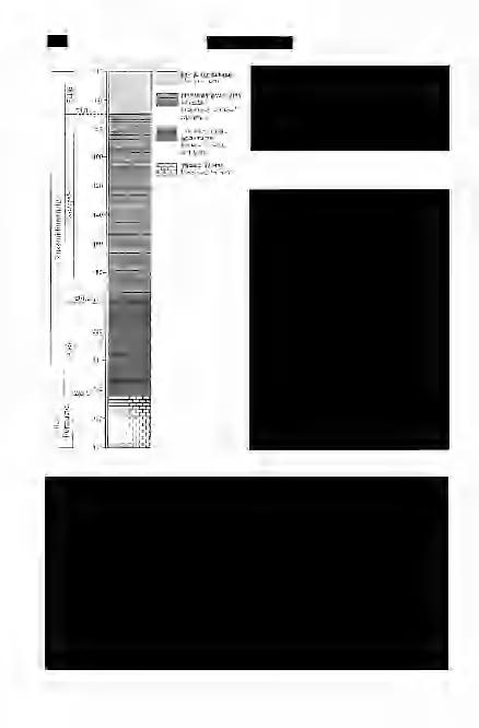 '168 Földtani Közlöny 136/4 3. ábra. A Rezi Rzt-1 fúrás egyszerűsített rétegoszlopa a Kösseni Formáció jellegzetes kőzetkifejlődési szakaszaival (HAAS 2002 alapján, módosítva) Fig.