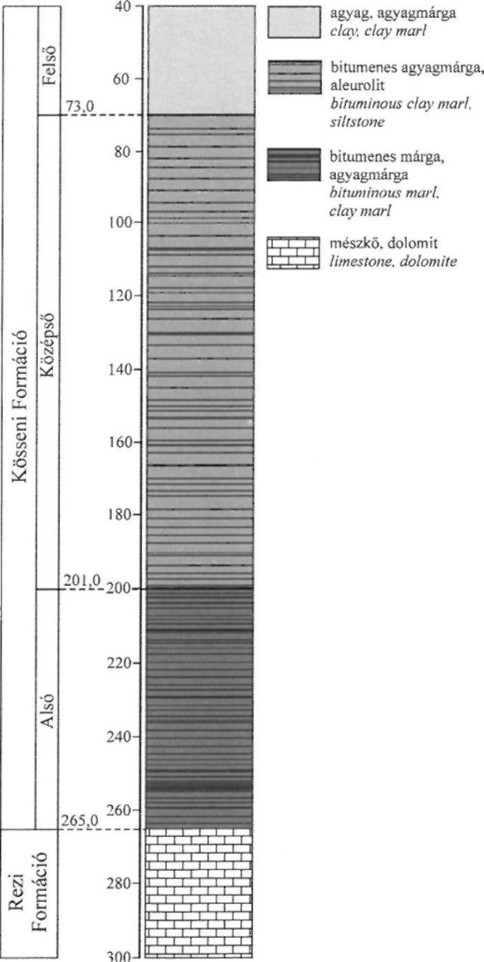 A középső szakaszt (73,0-201,0 m) sötétszürke, barnásszürke, laminites, bitumenes agyagmárga, aleuritos márga és aleurolit alkotja szervesanyagdús, alginites, mollusca-lumasellás és intraklasztos