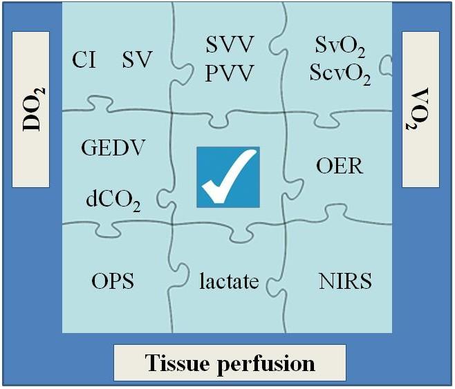 Solve the hemodynamic puzzle
