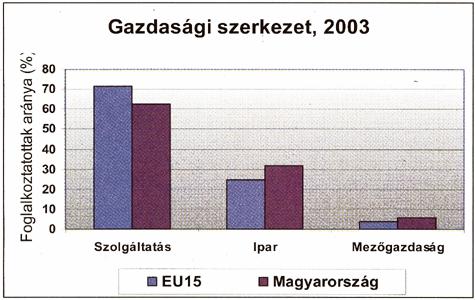 A munkatermelékenység alakulása tulajdonviszony szerint 2000-ben (egy foglalkoztatottra jutó hozzáadott érték) Munkatermelékenység az átlaghoz képest (%) Hazai tulajdonú vállalatok 70,8 Külföldi