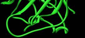 fluoreszcenciája