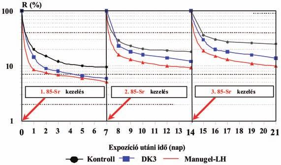 Hazai tükör 5. ábra. Kezelések hatása a 85 Sr egésztest retenciójára az izotóppal ismételten bekövetkezett belső szennyeződések kezelése esetén zonyosodott.