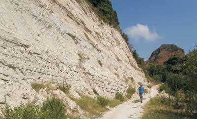 Archaeogeológiai megfigyelések a szíriai Margat (al-markab Citadel) keresztes vár ásatásán 105 5. kép. Pliocén márgasorozat Quar Kafte-től délre Photo 5.