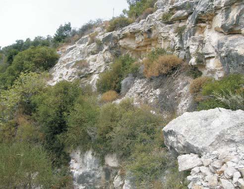 110 SOLT PÉTER et al.