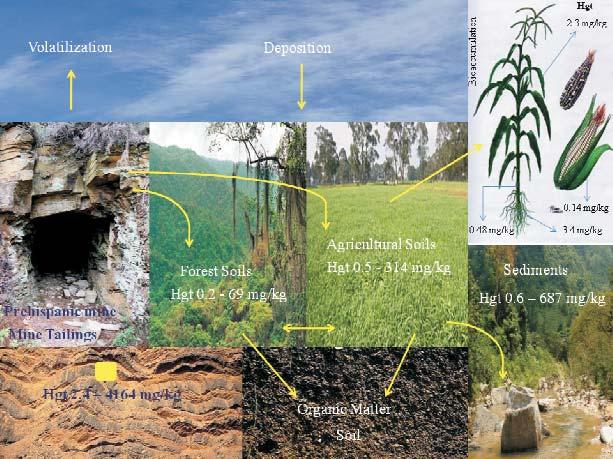 146 SERGIO MARTÍNEZ-TRINIDAD et al. Figure 4. Mercury in the environmental components of the southern region of Sierra Gorda 4. ábra.