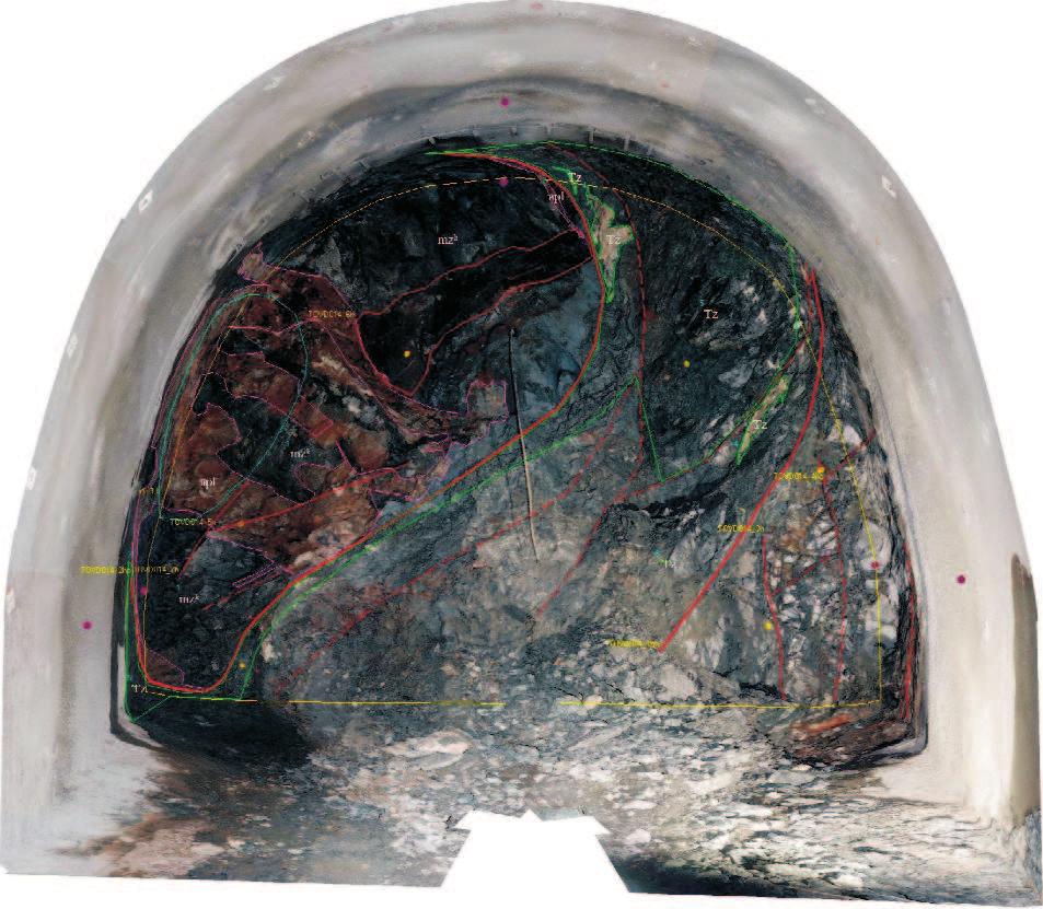 308 LÁSZLÓGYALOGet al. PÁSZTOR 2001); this model also provided the opportunity to compose photomontages of the face, the mantle and of optional view.