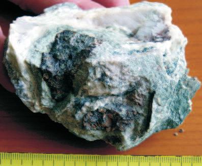 314 LÁSZLÓGYALOGet al. damming zones exhibit a characteristic E W strike.
