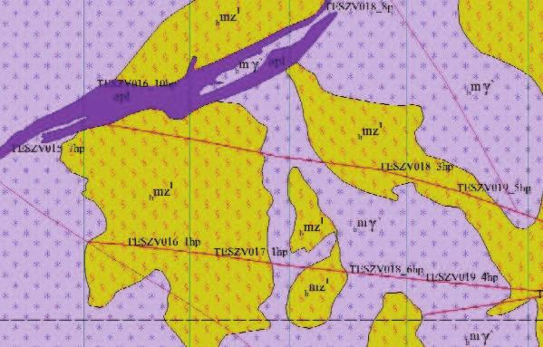 Final geological mantle map of Figure 7 Violet ( h mγ) = contaminated monzogranite, mustard-yellow ( h mz l ) = contaminated monzonite (with leucocratic schlieren), dark violet (apl) = aplite dyke,