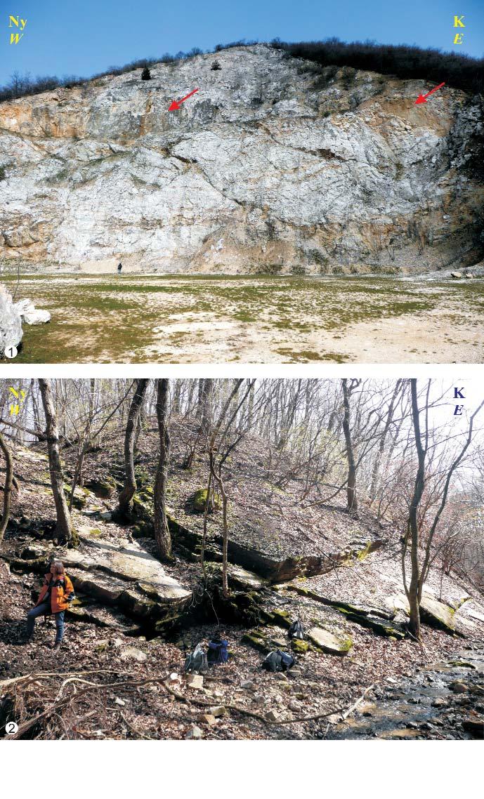 A Pilis-vonulat triász képződményeinek földtani kutatása 61 I. tábla Plate I 1. A pilisszántói mészkőfejtő középső- és felső udvara (a nyilakkal jelzett felszínek normál vetők) 1.