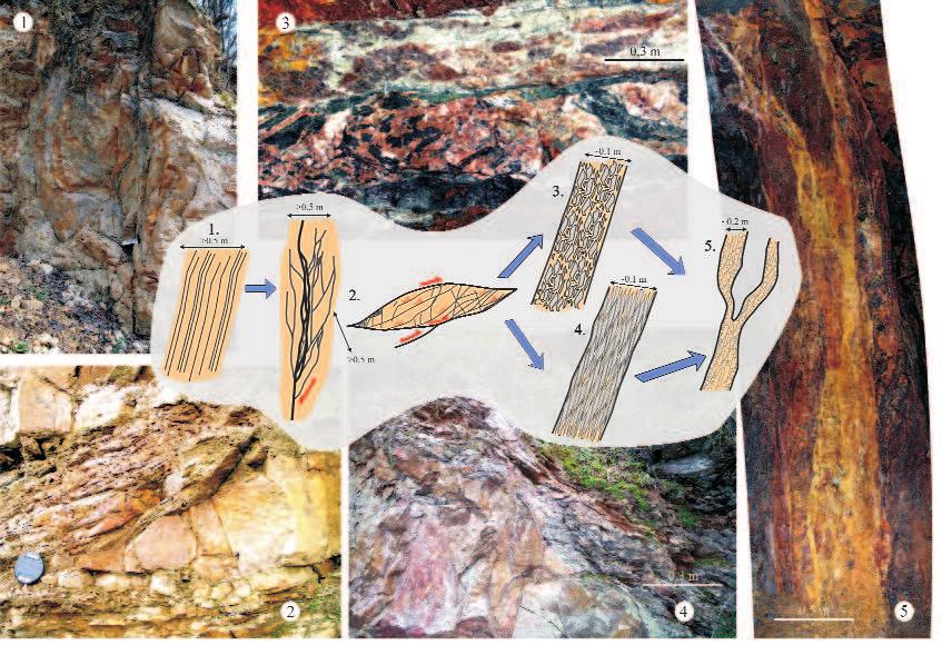 94 GYULAMAROSet al. Figure 2.