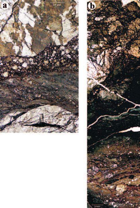 98 GYULAMAROSet al. (40 50 wt%) of the fine-grained matrix containing mainly clay minerals (illite, smectite, palygorskite) and chlorite suggest intense fluid flow in the fault zone.
