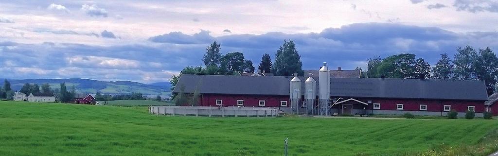 MAKÁDI MARIANN 51 Hedmark mint miniatűr norvég mezőgazdaság A délkelet-norvégiai Hedmark az ország legkevésbé városiasodott megyéje, a lakosság csaknem fele gårdokon lakik és a mezőgazdaságból él.