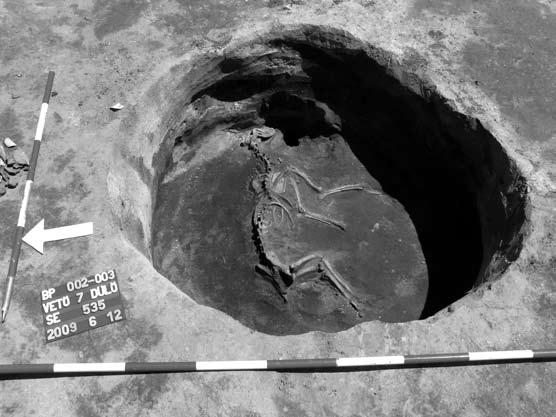 15. kép: Használaton kívüli gödörbe rituális okokból eltemetett kutya csontváza Fig.