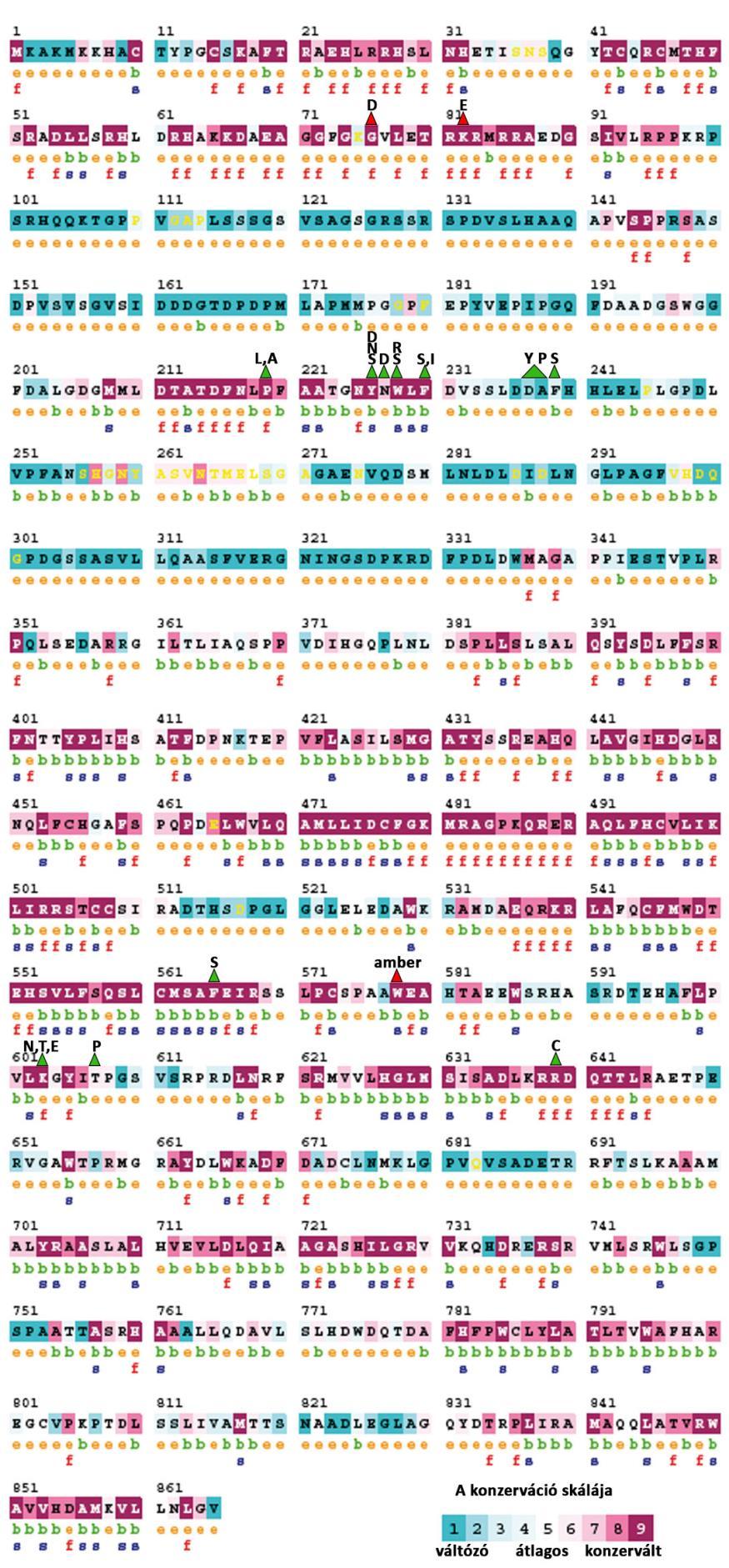 13. ábra: A hxnr 123 vélhető ortológjaival végzett CONSURF analízis eredménye Az illesztés a MAFFT, E-INS-i algoritmusával történt.