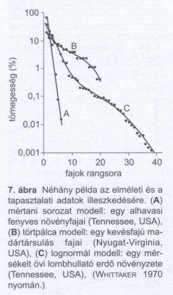 Textúra Három alapmodell: A. Mértani sorozat Szukcesszió korai stádiumaiban Dominancia sorrend, adott fajt a felette álló faj forrásfogyasztása korlátoz B.