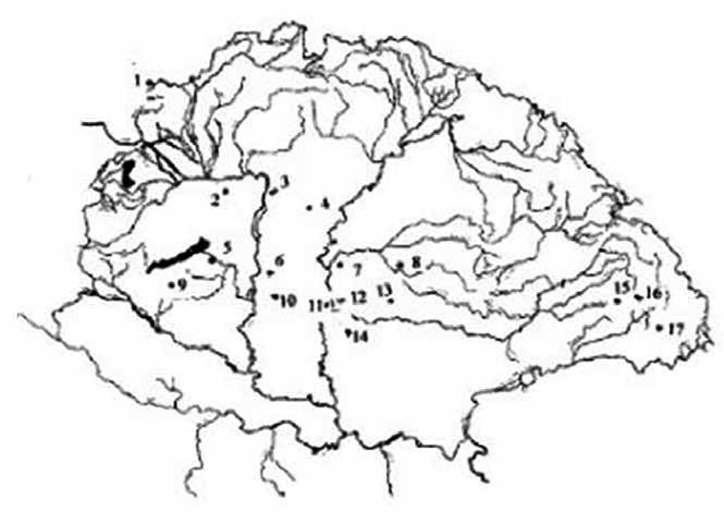 100 Zelliger Erzsébet telen, hogy rövid, részint csupán egyszavas emlékek ezek, de régészeti leletek lévén viszonylag pontosan datálhatók, a szövegek pedig nyelveken szólnak, vagyis azt árulhatják