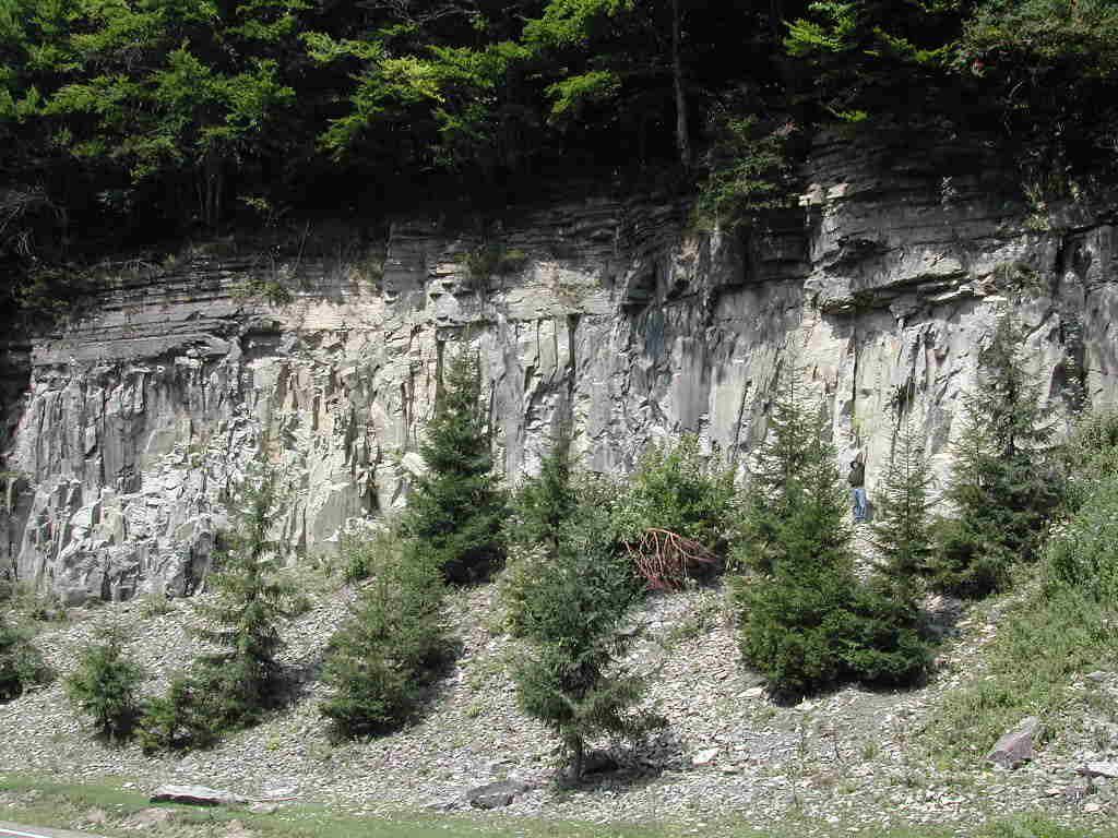 Amfibolandezit kőzet telér, amely miocén üledékbe