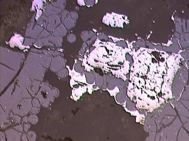 (1N) 125 µm Idimorf pirit (P) és gömbös, uraninit (gummit -