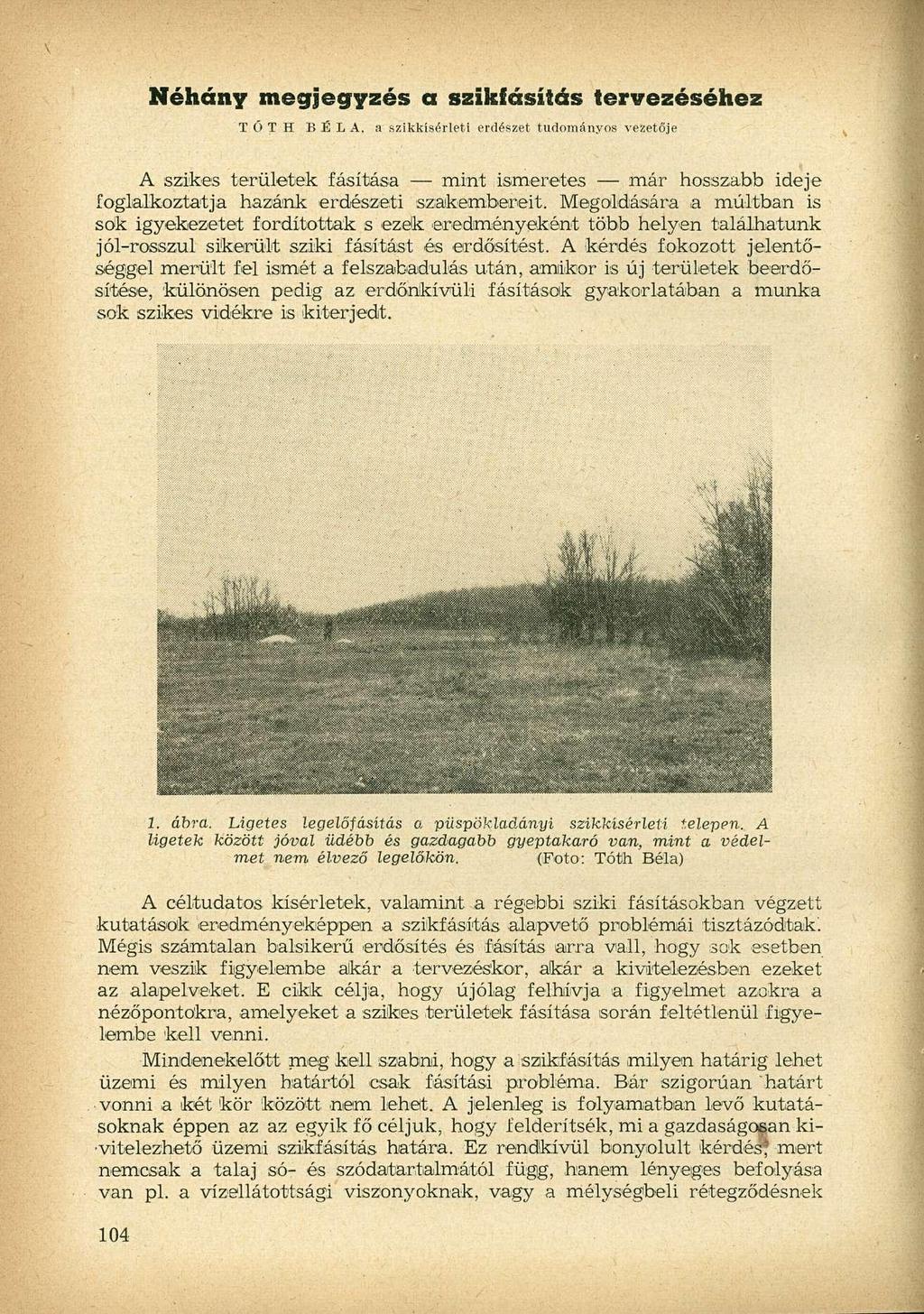 Néhány megjegyzés a szikfásítás tervezéséhez TÓTH BÉLA.