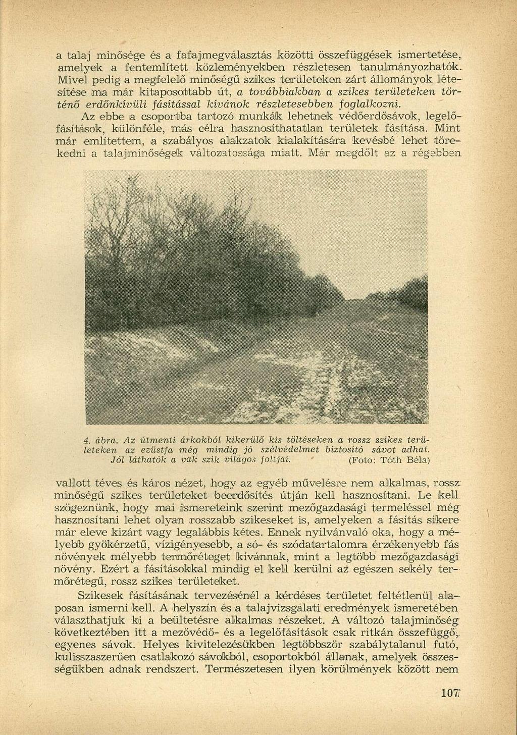 a talaj minősége és a fafajmegválasztás közötti összefüggések ismertetése, amelyek a femtemlített közleményekben részletesen tanulmányozhatók.
