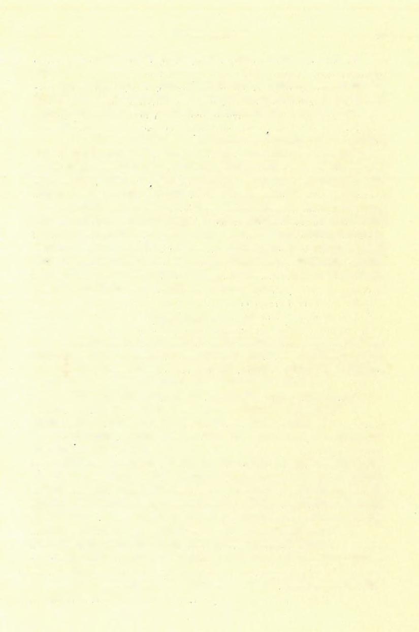 (5) F Ö L V É T E L I J E L E N T É S. 141 A diluviális képződmények utolsó tagját durva vasas homok képviseli itt.