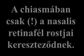 Temp. bal Nas. Nas. jobb Temp.