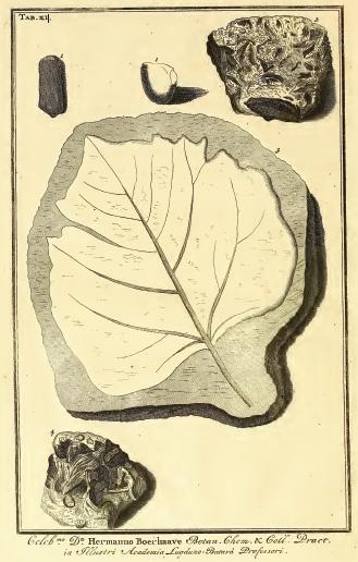 120 Miklós Kázmér WINTERL, J. J. (1806): Analyse der Erde von Misslye. Gehlen, Journ. 2, 435 439. Kivonat: Examen de la terre de Misslye. Journal des Mines 27, 451. 1807 ANONYMOUS (1807): Hr.
