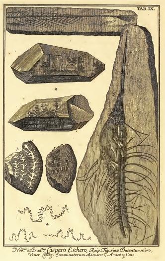 Sources to the history of geology in Hungary 95 Népiskolai földrajzkönyv. További kiadásai: 1821, 1828 (MÉSZÁROS, 1989:74). BERGMANN, T. (1788): De lapide hydrophano.