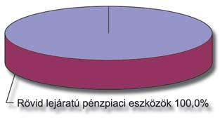 Ezen felül, miután az eszközalap devizában denominált eszközökbe is fektethet, ezért a deviza árfolyam változásának kockázata is felmerül az eszközalap esetében.