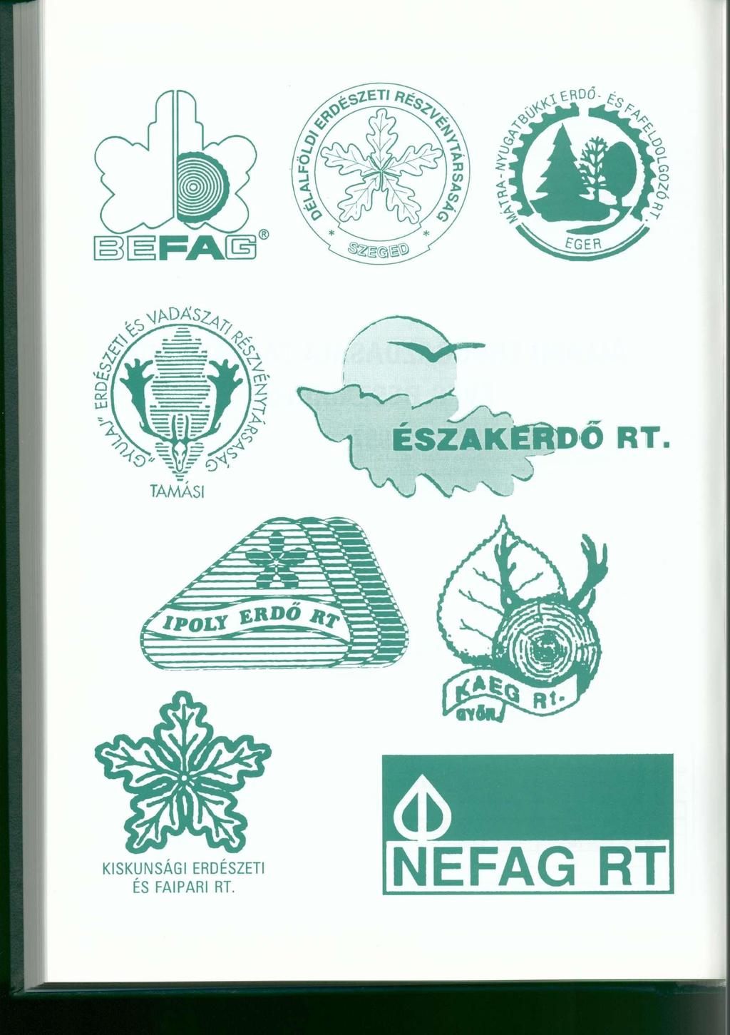 ERDŐ ÉSZAKERDŐ RT, TAMÁSI