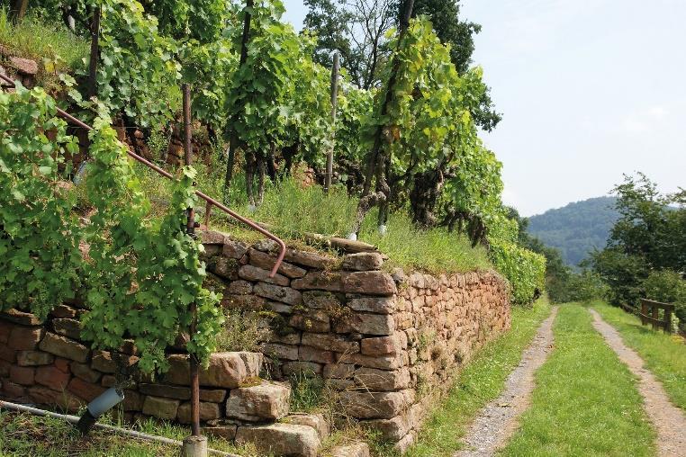 Dűlők - Vízpart,
