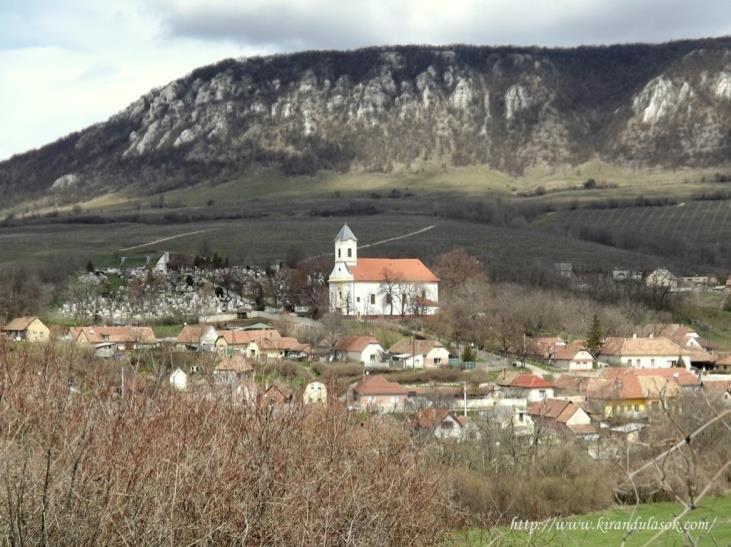 térségi szintű