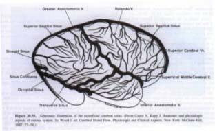 Cerebralis vénák thrmbsis Szemtünetek (elő)jelezhetik: az agy vénás rendszerének keringési