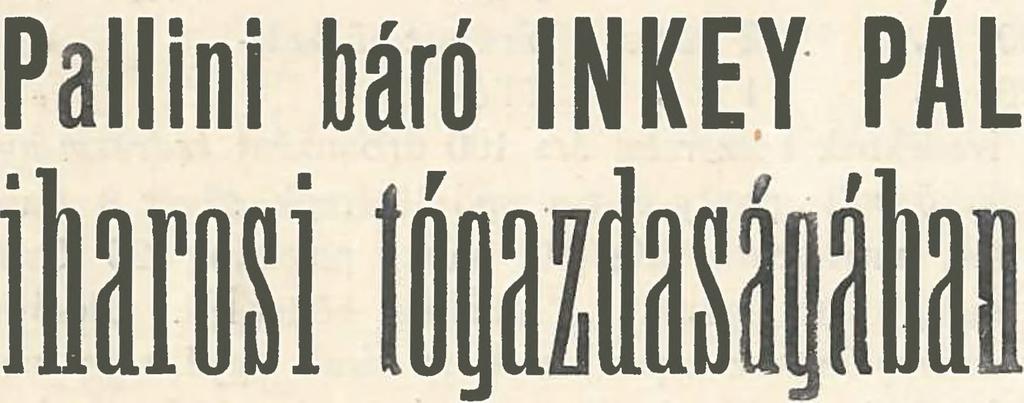 A halászati üzem minden ágában jártas, keresk. akad. s gazd. tanintézeti képzettségű, 6 éves gazd. gyakorlattal, 12V2 évig a balatoni ha ászati r.-t.