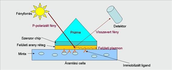 4. ábra A felületi plazmon rezonanciát kihasználó szenzor egyik tipikus elrendezése [5].