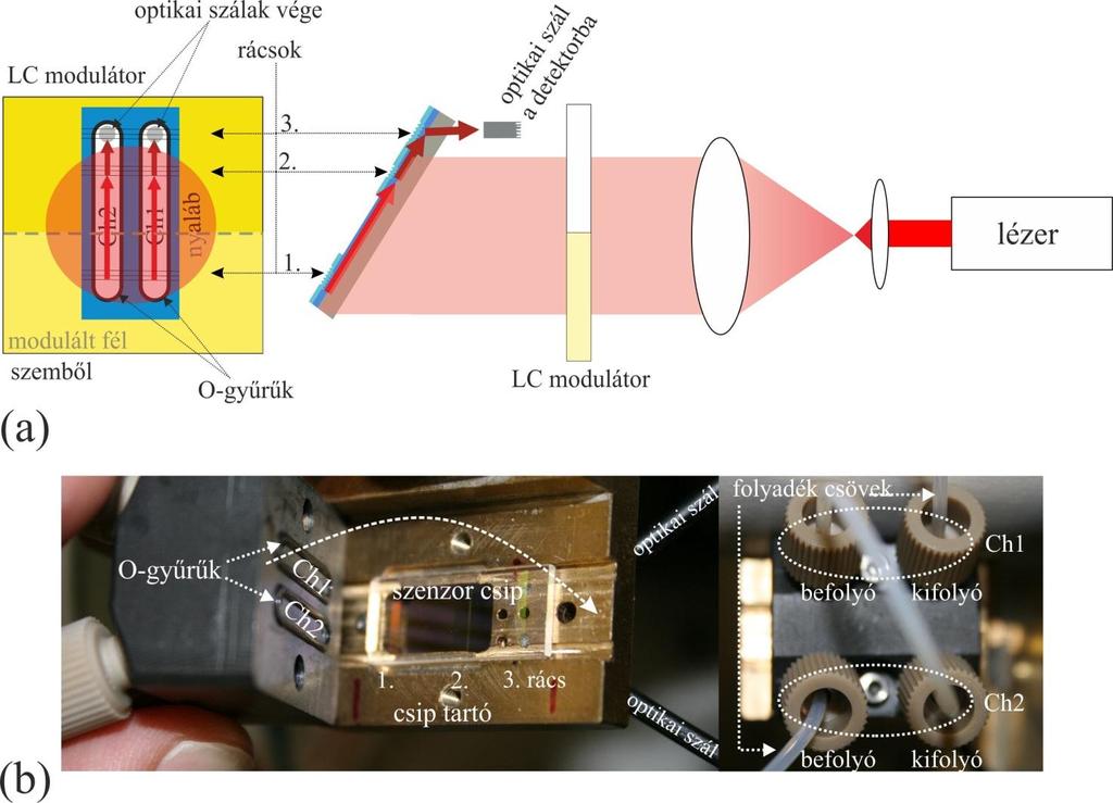 5.2. Egynyalábos interferencia A fent bemutatott hullámvezető a módus gerjesztés és további mérések céljából a 9. ábrán látható optikai elrendezésben volt.