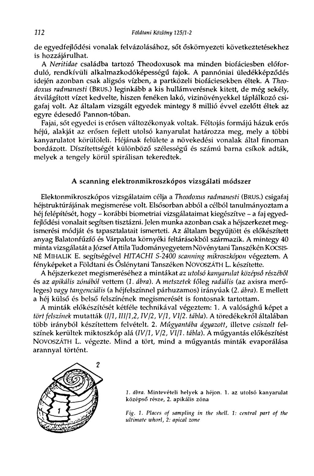 m Földtani Közlöny 125/3-2 de egyedfejlődési vonalak felvázolásához, sőt őskörnyezeti következtetésekhez is hozzájárulhat.