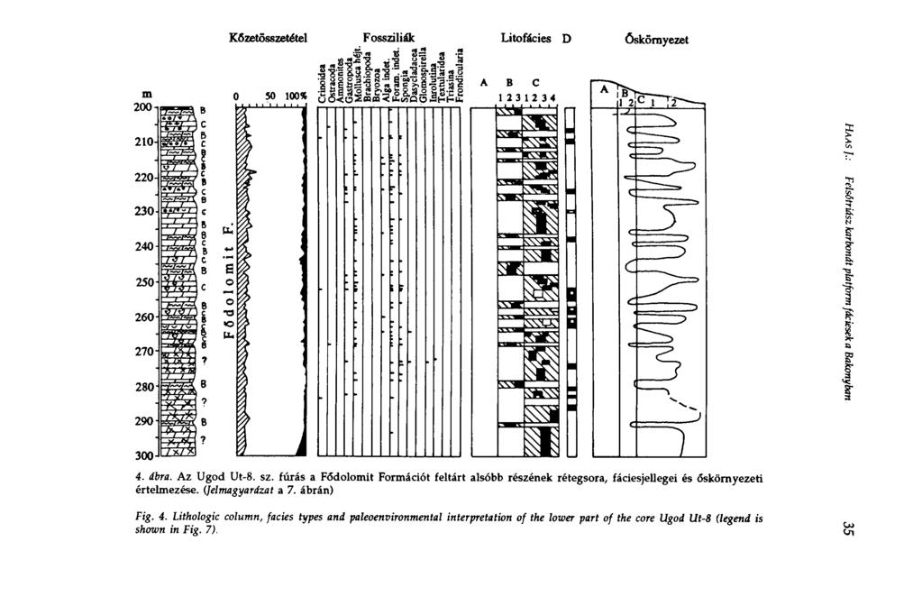 Közetösszetétel Fossziliák és «S== Litofácies D óskörnyezet m 50 100«ïd.a3 1aa.! >. A В С 1 2312 3 4 200-1 члдчл 210- [ Ж 220 230 240 250 260 270 280 290 300 J 4. ábra. Az Ugod Ut-8. sz.