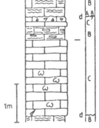 A) Dachstein limestone sequence in the quarry at the western side of the Szár Hill in the vicinity of Ugod.