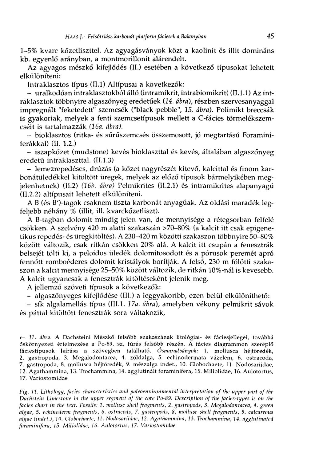 HAAS J.: Felsotriász karbonát platform fáciesek a Bakonyban 45 1-5% kvarc kőzetliszttel. Az agyagásványok közt a kaolinit és illit domináns kb. egyenlő arányban, a montmorillonit alárendelt.