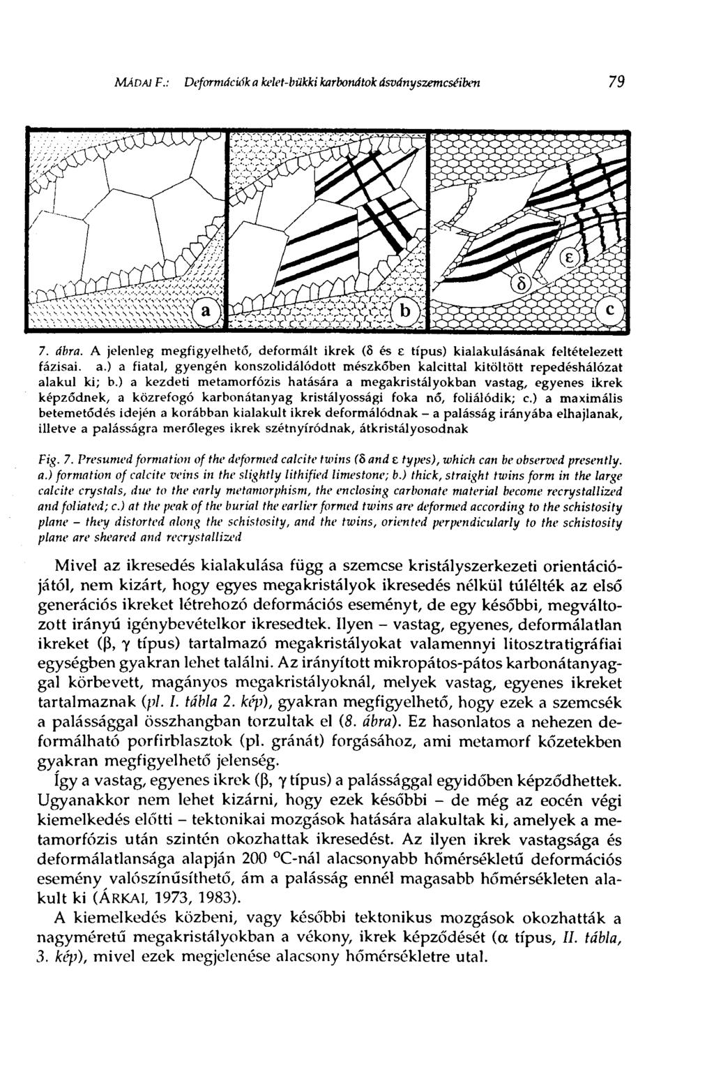 MÁDA1 F.: Deformációba kelet-bükki karbonátok ásványszemcséiben 79 7. ábra. A jelenleg megfigyelhető, deformált ikrek (8 és e típus) kialakulásának feltételezett fázisai, a.
