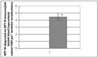hepatocellularis carcinomát is [18, 19]. Megbeszélés és következtetések 4. ábra NPY IR idegrostok és NPY-pozitív immunsejtek közötti közvetlen kapcsolat diagramja *Szignifikáns változás (0,05). 5.