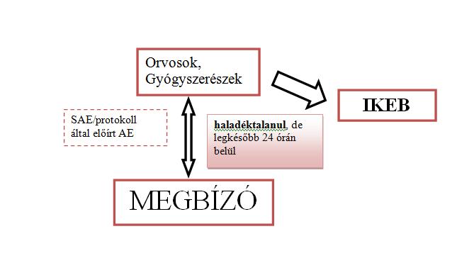 is létrehozott egy magasabb szintű rendszert az European Medicines Agency EMA, amely az Unió egész területén érvenyes törzskönyvezést végző hatóság.