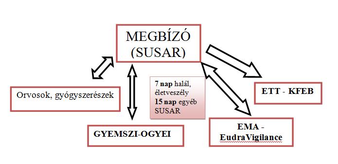 A hazai jogszabályozás szerint nem csak a megbízó felé van jelentési kötelezettsége a vizsgálónak.
