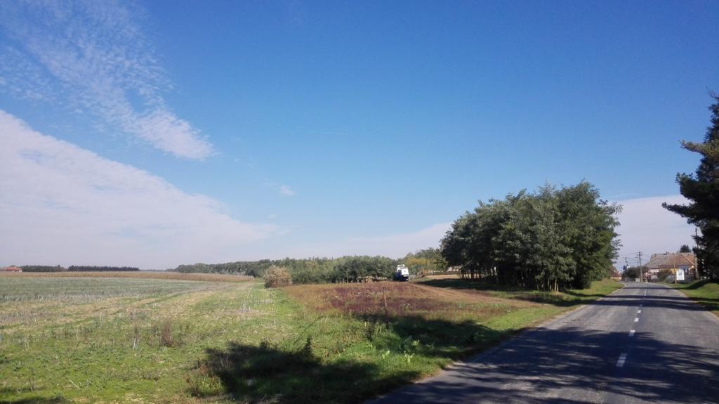Örökségünk 29 2 TÁJI ÉS TERMÉSZETI ÉRTÉKEK A község közigazgatási területe nem érintett a Balaton-felvidéki Nemzeti Park (továbbiakban: BFNP) védett természeti területe, vagy egyéb országos védelem