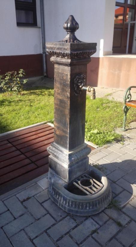 alakultak ki, de a fák között még megmaradtak szép faegyedek is.