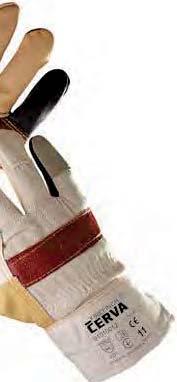 WWW.CERVA.