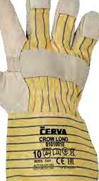WWW.CERVA.