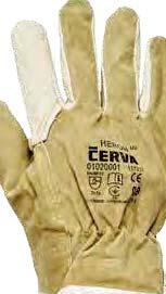 WWW.CERVA.
